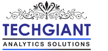 Techgiant Analytics Solutions